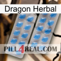 Dragon Herbal 23